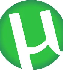 磁力链接 torrent